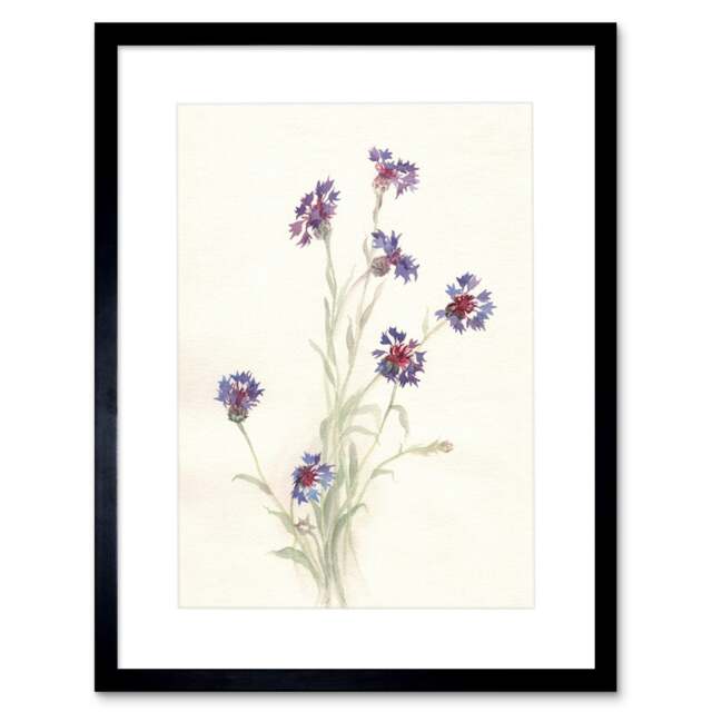 "Cornflowers Watercolour Wildflowers Bright Floral 9x7"" Black Framed Wall Art Print"