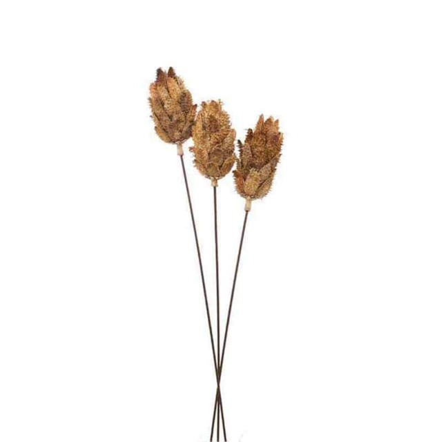 Bouquet of Dried Protea Artificial Plant - L12 x W12 x H60 cm