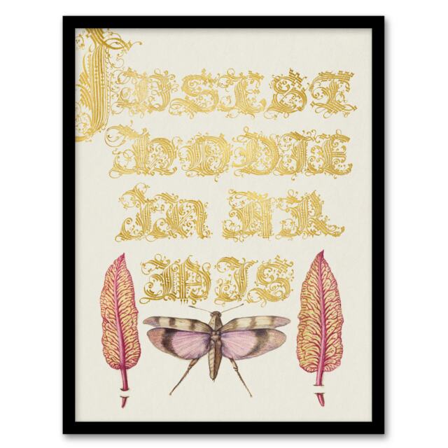 "Chard and Red Winged Grasshopper Calligraphy Framed Wall Art Print 12X16"""
