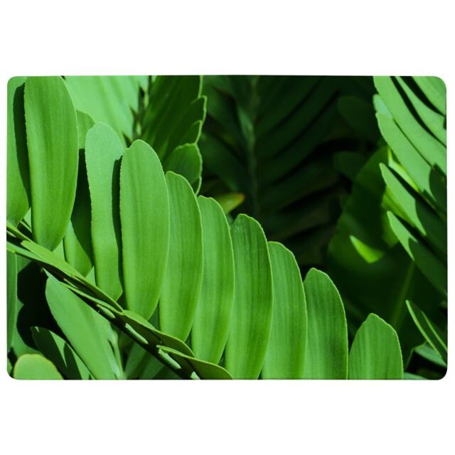 Natural Dark Green Leaves, Long Slender Green Leaves Designer Rug Multi