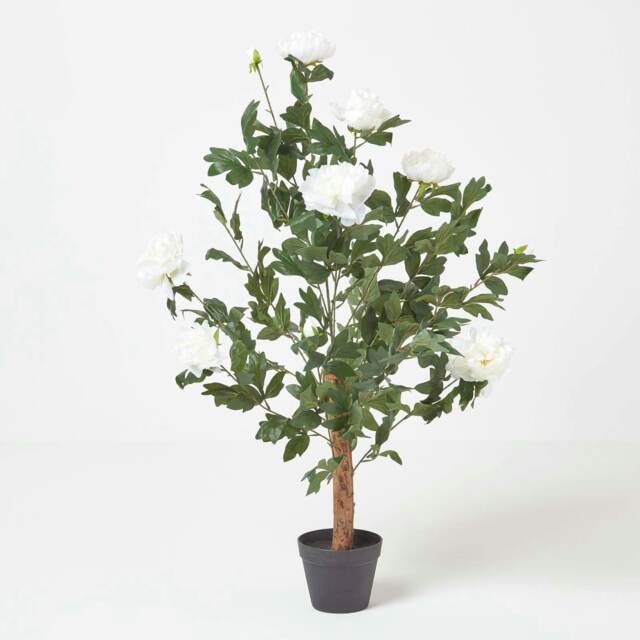 Homescapes Cream Artificial Peony Tree in Black Pot, 100 cm Tall