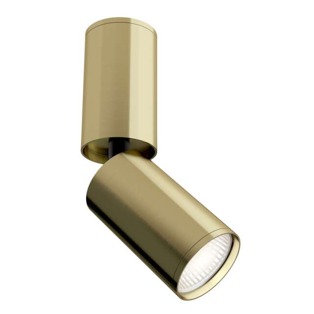 Technical FOCUS S Brass Surface Mounted Ceiling Lamp