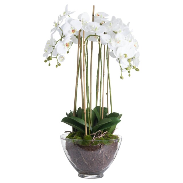 Hill Interiors Large Orchid In Glass Pot White White One Size 1