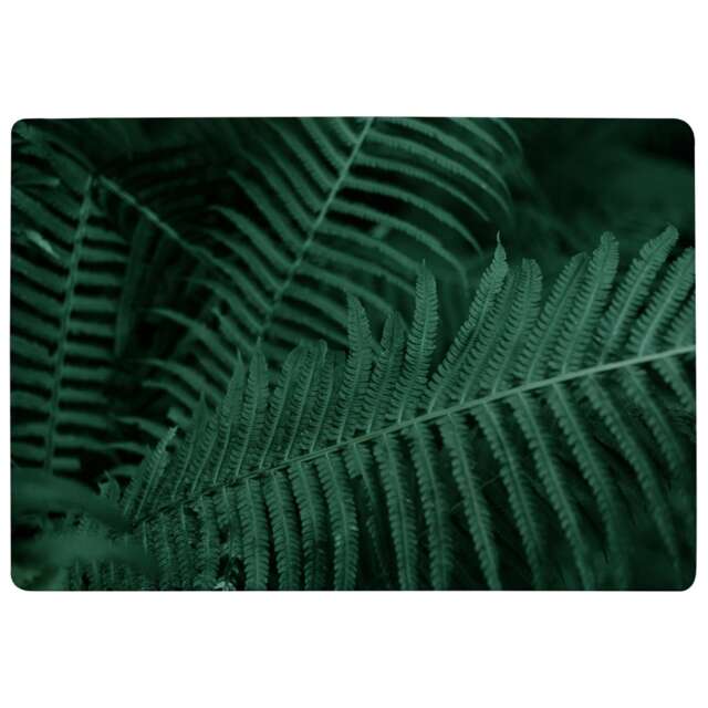 Plants Background. Biophilia Trend Designer Rug Multi