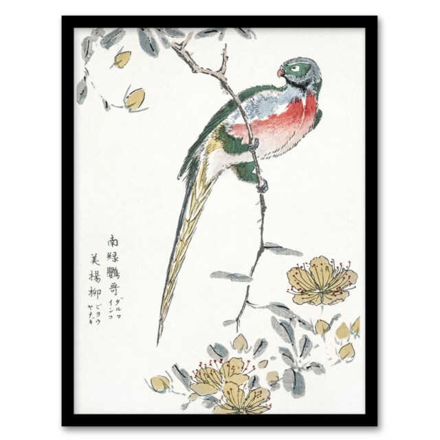 "Macaw Parrot and Peach Flowers Japan Framed Wall Art Print Numata Kashu 12x16"""