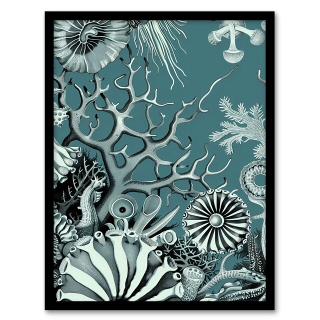 Coral Reef Life Aquatic Landscape Black Framed Wall Art Print A4