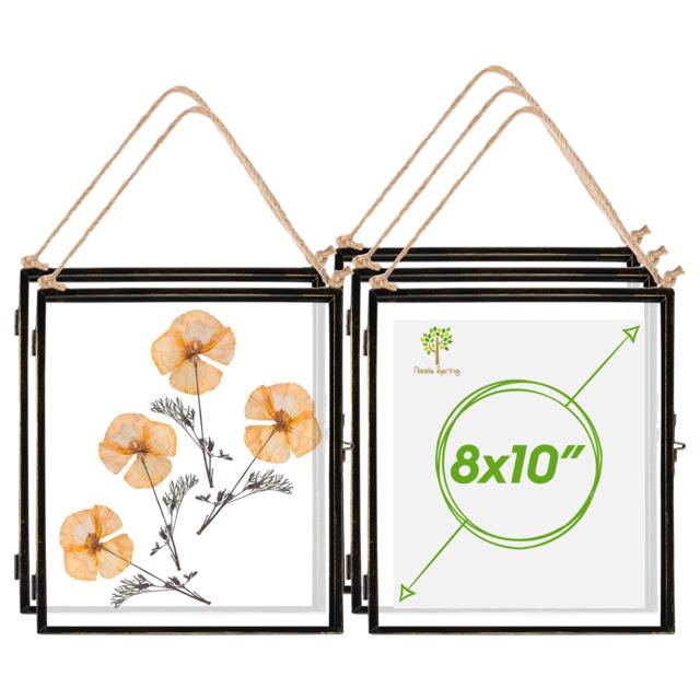 "Nicola Spring Hanging Metal Photo Frames - 8"" x 10"" - Black - Pack of 5 Black Black One Size"