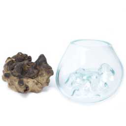 Serenityy Molten Glass on Wood - Small Decorative Bowl