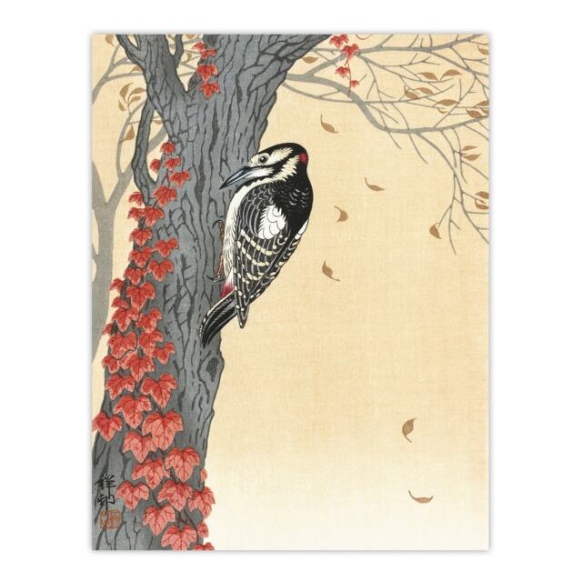 "Spotted Woodpecker Tree Red Ivy Vintage Wall Art Print Koson 18x24"""