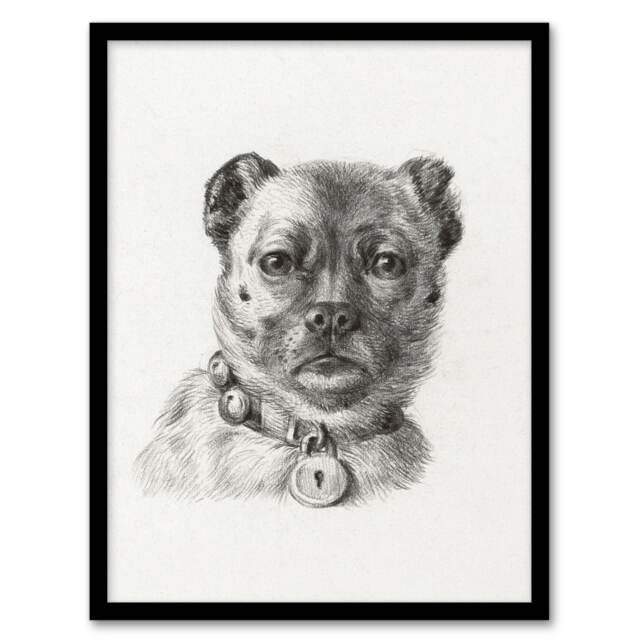 "Dog head with a Collar Pencil Drawing Bernard Framed Wall Art Print 12X16"""
