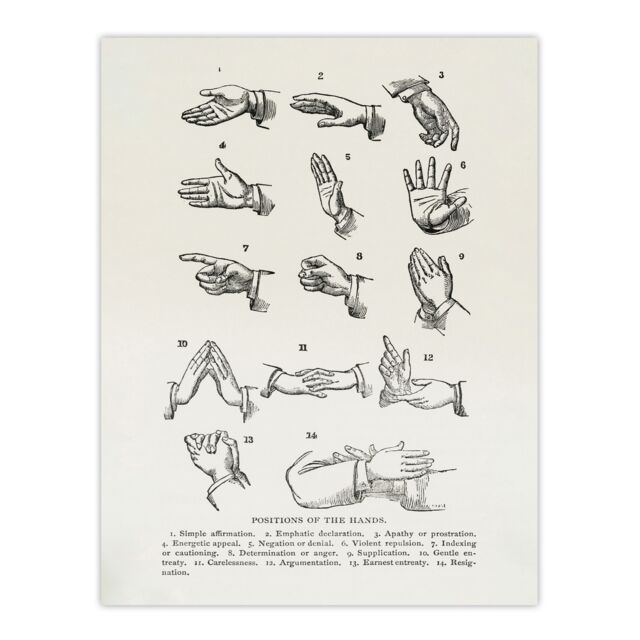 "Positions of Hand Gestures Richardson Vintage Huge Wall Art Poster Print 24X32"""