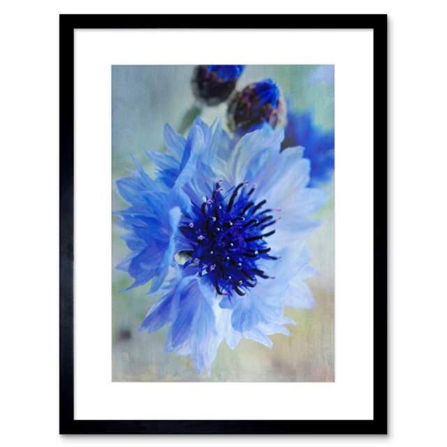 "Cornflower Flower Blue Bloom Living Room 12x16"" Framed Wall Art Print"