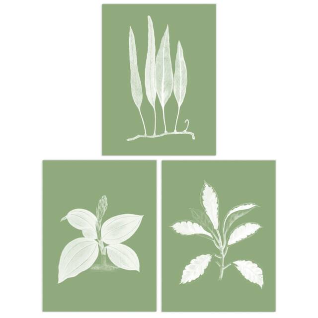 Set of 3 Sage Green Tree Plant Foliage Xray Imprint Monochrome Botanical Wall Art Prints 12x16 Inch