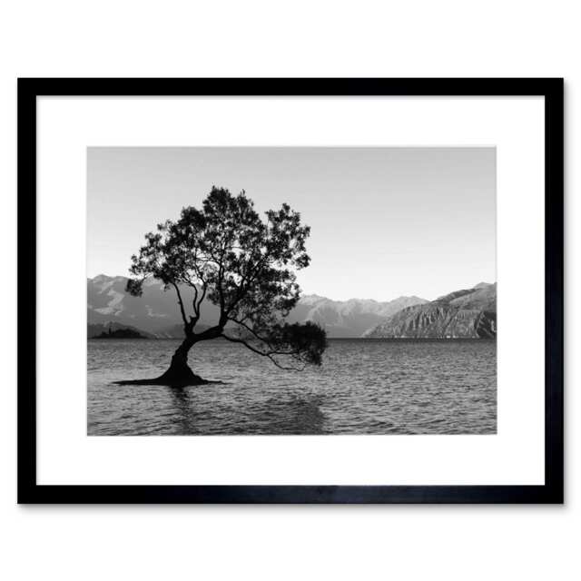 "Lone Tree Lake Wanaka New Zealand Black White Nature 9x7"" Black Framed Wall Art Print"