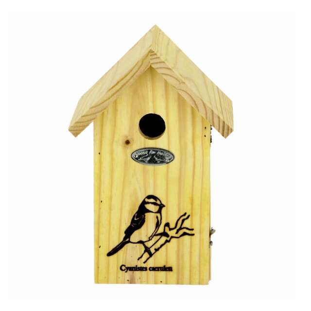 Fallen Fruits Blue Tit Silhouette Wooden Bird House