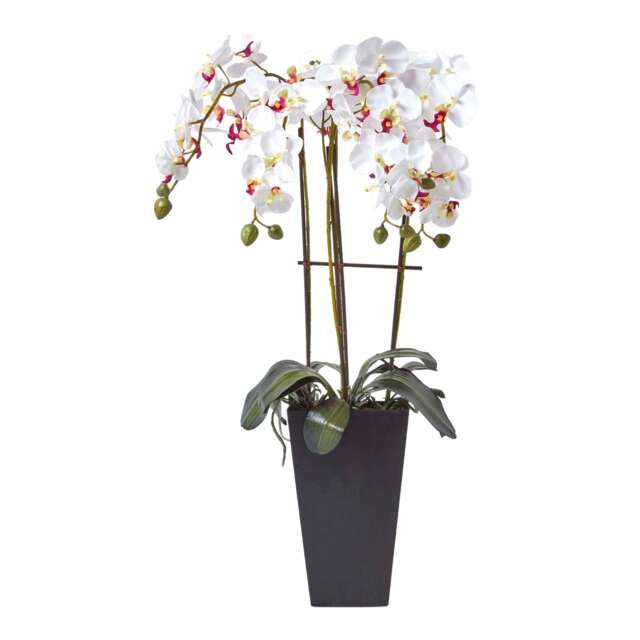 Homescapes Artificial Flowers Oriental Style White Orchid in a Black Pot, 70 cm
