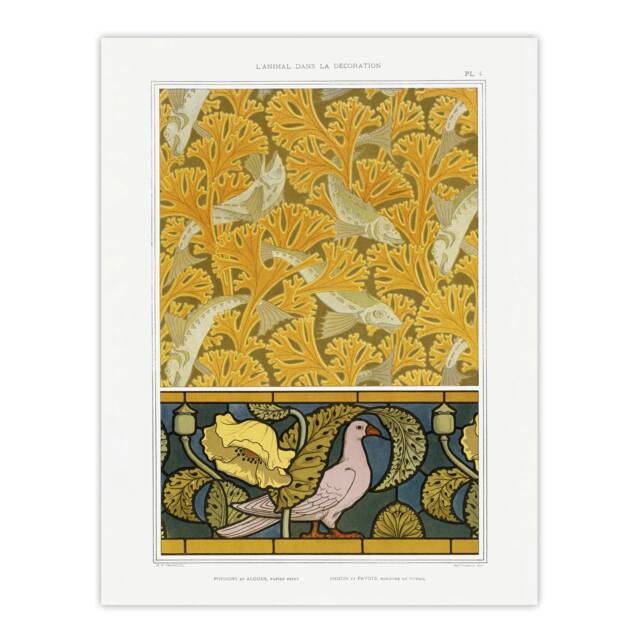 "Poppy Pigeon Coral Fish Patterns Vintage Wall Art Print Verneuil 24x32"""