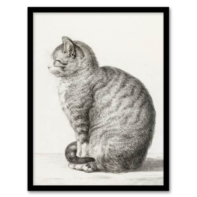Jean Bernard Framed Wall Art Print Sitting Smiling Cat Pencil Drawing Home Décor