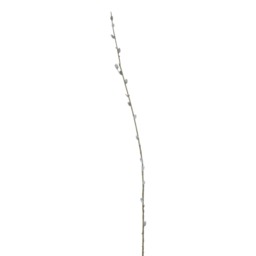 Hill Interiors Faux Pussy Willow Branch - Brown/Green - 103cm