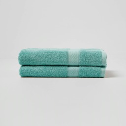Homescapes Turkish Cotton Bath Towel Set of 2 - Sea Green Green Bath towel 2