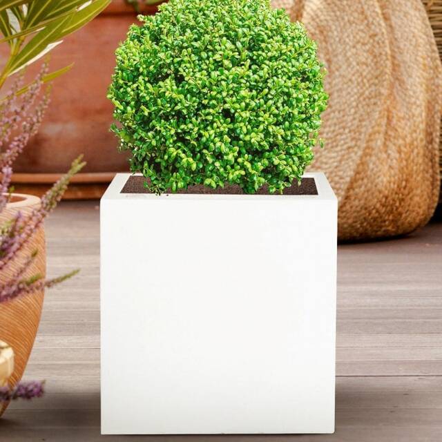 Square Box White Light Concrete Garden Planter H30 L30 W30 cm, 27 ltrs Cap.