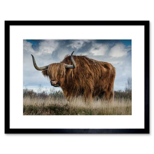 "Scottish Highland Coo Hairy Cow Animal Photograph 9x7"" Black Framed Wall Art Print"
