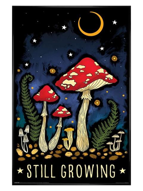 Black Gloss Framed Magical Mushroom Still Growing Maxi Poster Multi