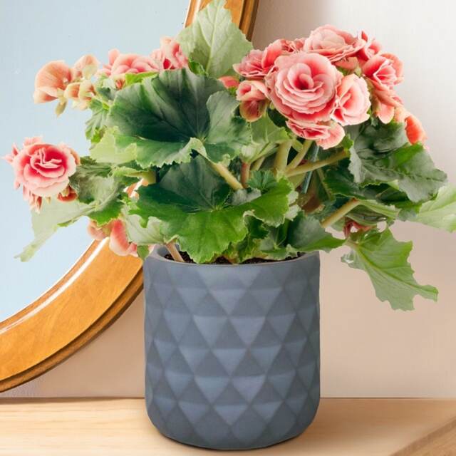Diamond Style Grey Cylinder Round Plant Pot also can be used as Hanging Planter Indoor D17.5 H17.5 cm, 4.2 ltrs Cap.