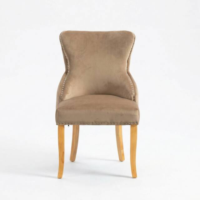 Orvino Velvet Fabric Dining Chairs - Set of 2