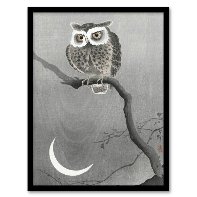 "Long Eared Owl On Tree Branch Vintage Japan Framed Wall Art Print Koson 12x16"""