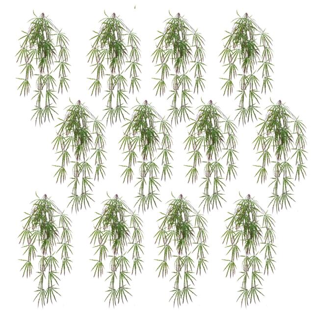 Pack of 12 x 100cm Artificial Hanging Acer Spider Plant