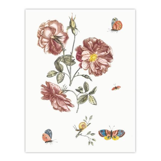 Rose Flowers Butterflies and a Snail Teyler Wall Art Poster Print