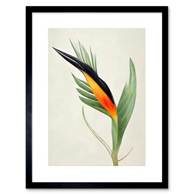"Tropical Bird of Paradise Flower Gold Black 9x7"" Black Framed Wall Art Print"