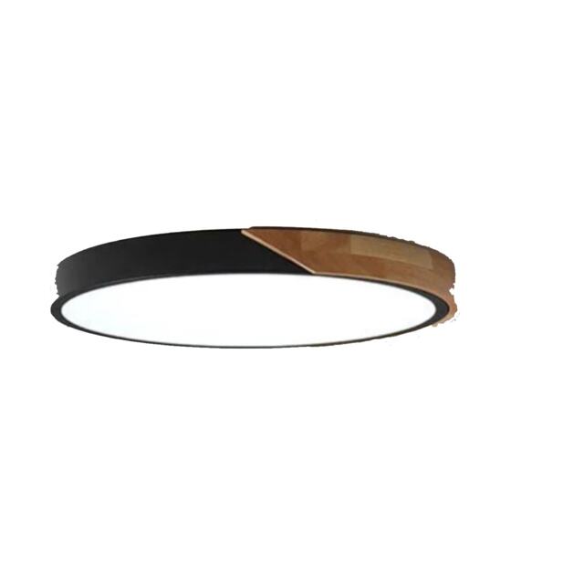 LED Ceiling Light Modern Minimalist Round Light Black