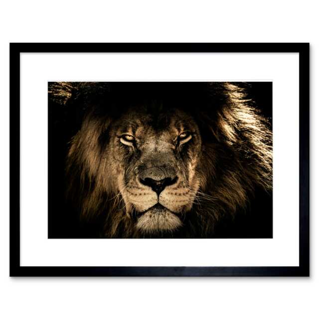 "Fierce Male African Lion Face Big Cat Lover 9x7"" Black Framed Wall Art Print"