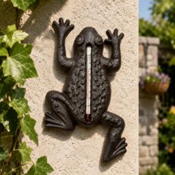CKB LTD Wall Mounted Frog Cast Iron Garden Thermometer for Indoor & Outdoor Use