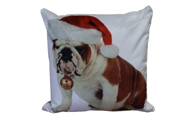 Bulldog Bouble Cushion Cover with Cusion Pads (43x43 cm) Multi Multi 43 x 43 cm 1
