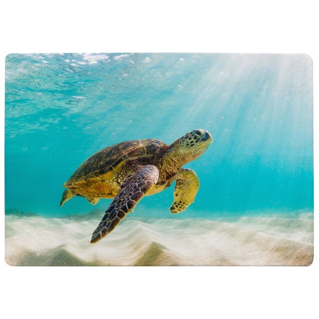 Photo Of Sea Turtle In The Galapagos Island Designer Rug Multi