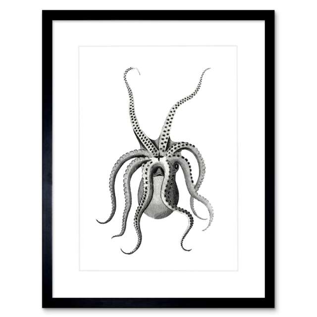 "Quirky Octopus Black White Sea Life Design 9x7"" Black Framed Wall Art Print"