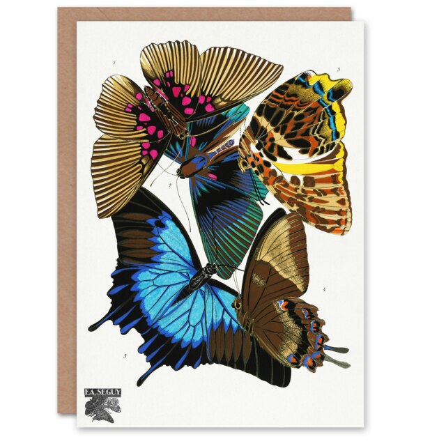 Eugene Seguy Art Card Colourful Vintage Butterflies