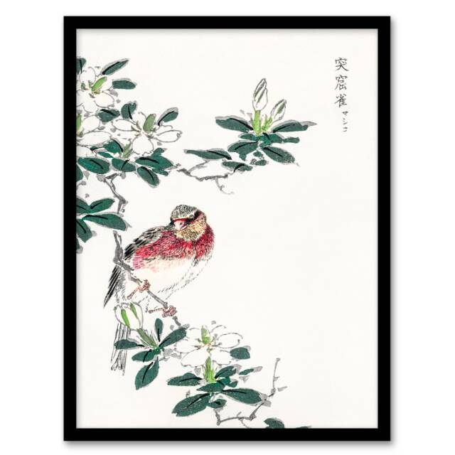 Numata Kashu Framed Wall Art Print Long Tailed Rosefinch Japanese Home Décor