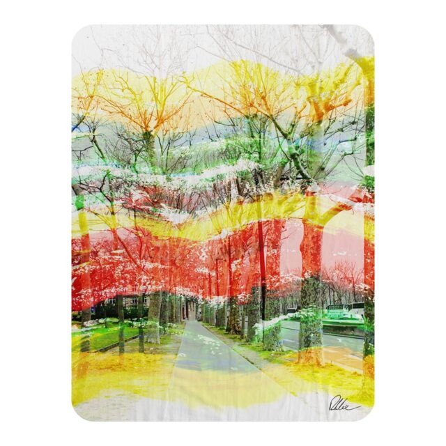 Vanishing Point Blanket Multi