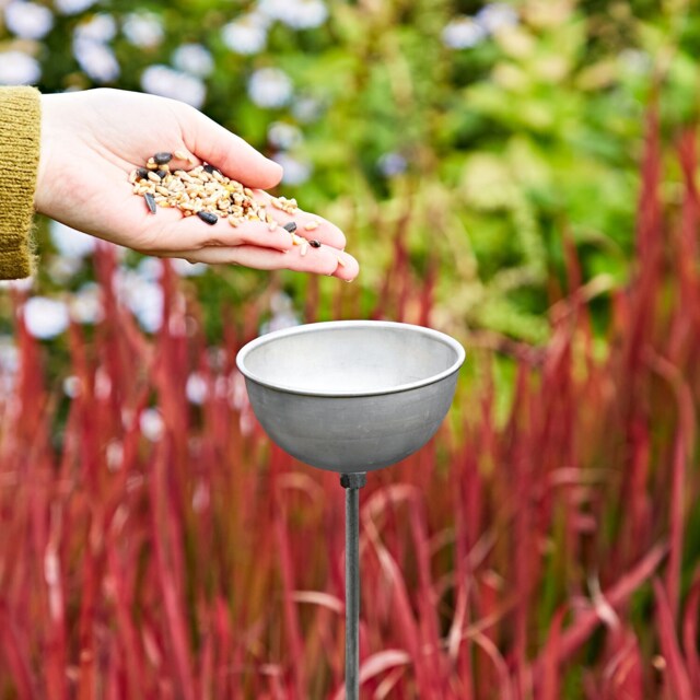 Recycled Iron Silver Rain Catcher