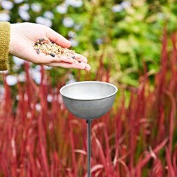 Recycled Iron Silver Rain Catcher