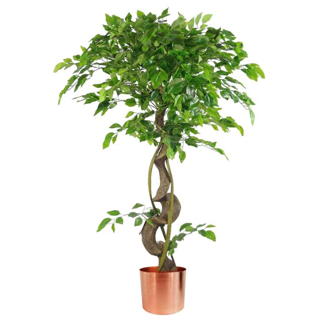 Large Artificial Japanese Fruticosa Ficus Tree Copper 120cm 4ft Realistic Botanik Green 4ft