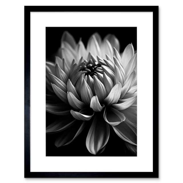 "Macro Close Up Dahlia Flower Black White Photo 9x7"" Black Framed Wall Art Print"