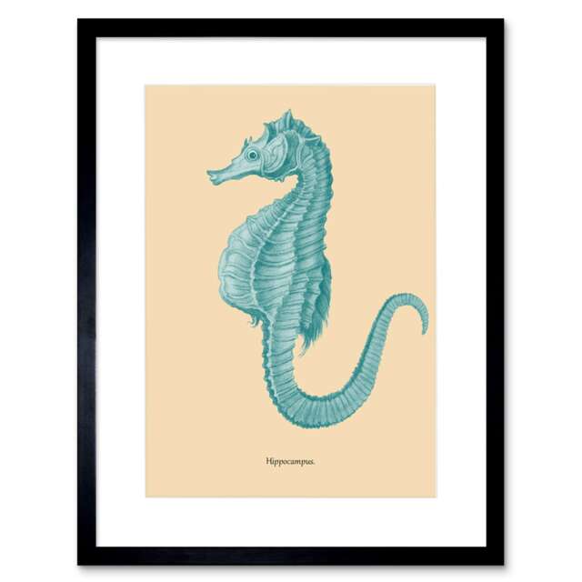"Vintage Seahorse Blue Hippocampus 9x7"" Black Framed Wall Art Print"