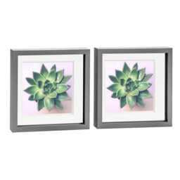 "Nicola Spring 10 x 10"" Photo Frames - Grey/White Mount - 3D Picture Frame Box Portrait Display Case (53 x 53cm) Set of 2"