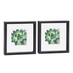 "Nicola Spring 10 x 10"" Photo Frames - Black/White Mount - 3D Picture Frame Box Portrait Display Case (53 x 53cm) Set of 2"