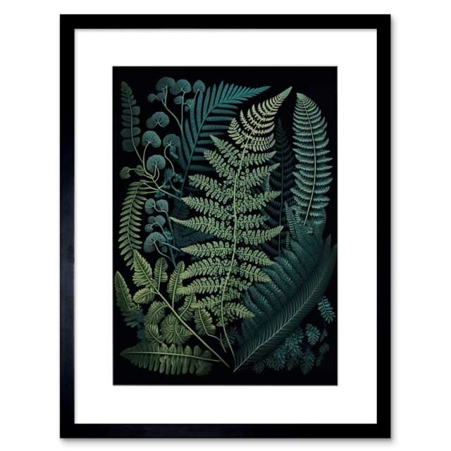 "Leaf Fern Fronds Ernst Haeckel Style 9x7"" Black Framed Wall Art Print"